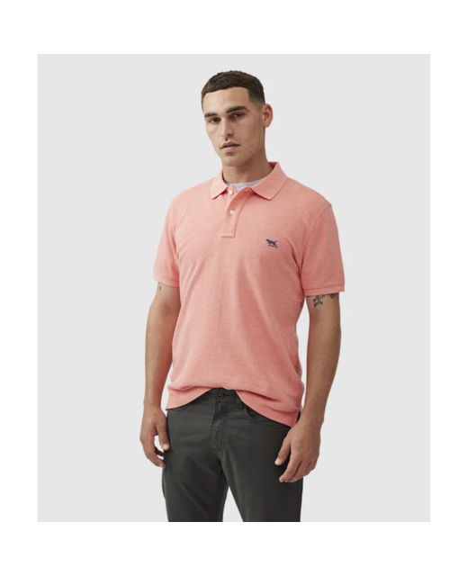 The Gunn Polo